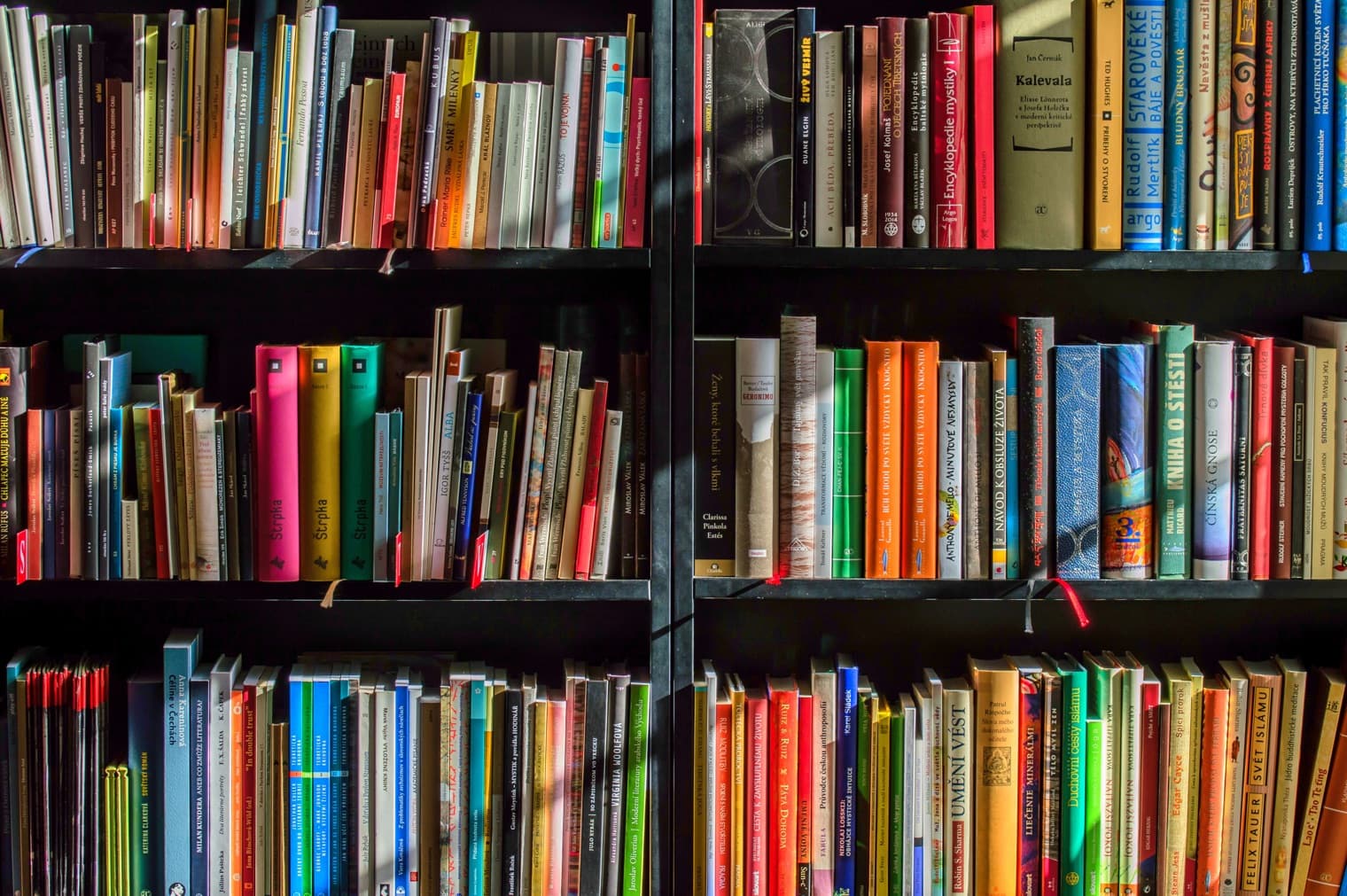 The role of published materials in an ES/AP course