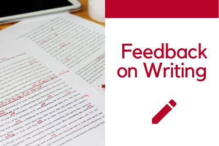 essay writing feedback