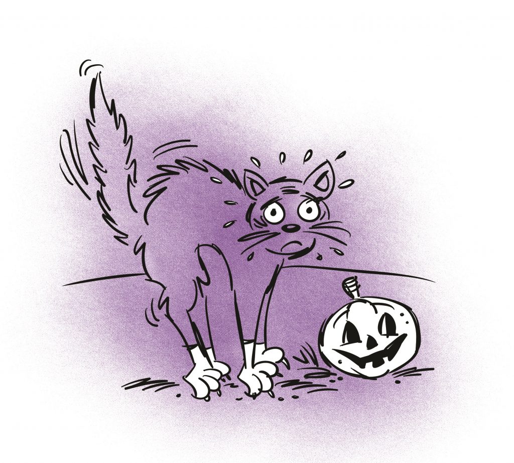 Scaredy Cat: Meaning & Idiom Origins